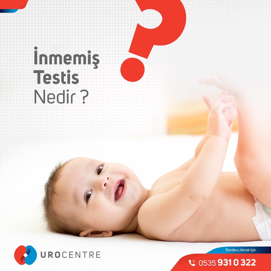 İNMEMİŞ TESTİS NEDİR